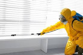 Best Termite Inspection and Treatment  in Seminole, FL